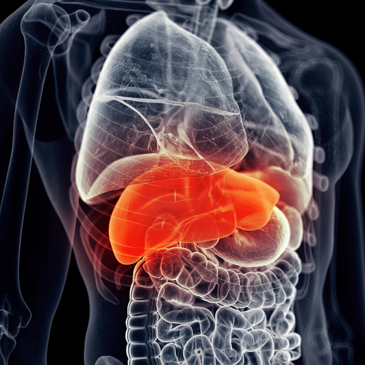 Liver Tests