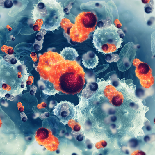 stem cells and iron