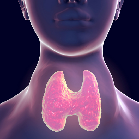 Thyroid