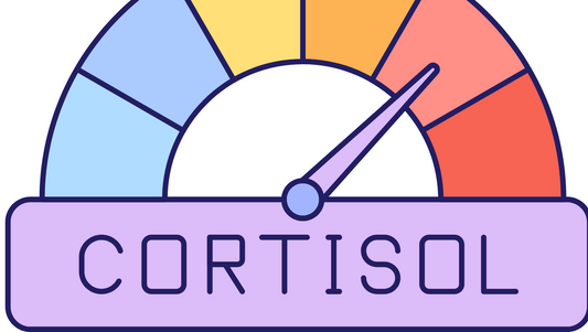 Cortisol and the Brain