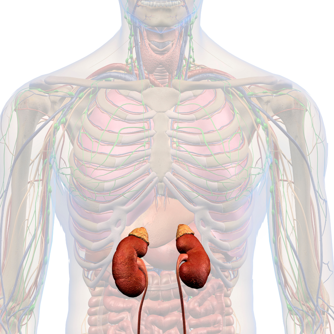 congenital adrenal hyperplasia