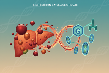 High Ferritin Levels: What Recent Research Tells Us About Metabolic and Liver Health