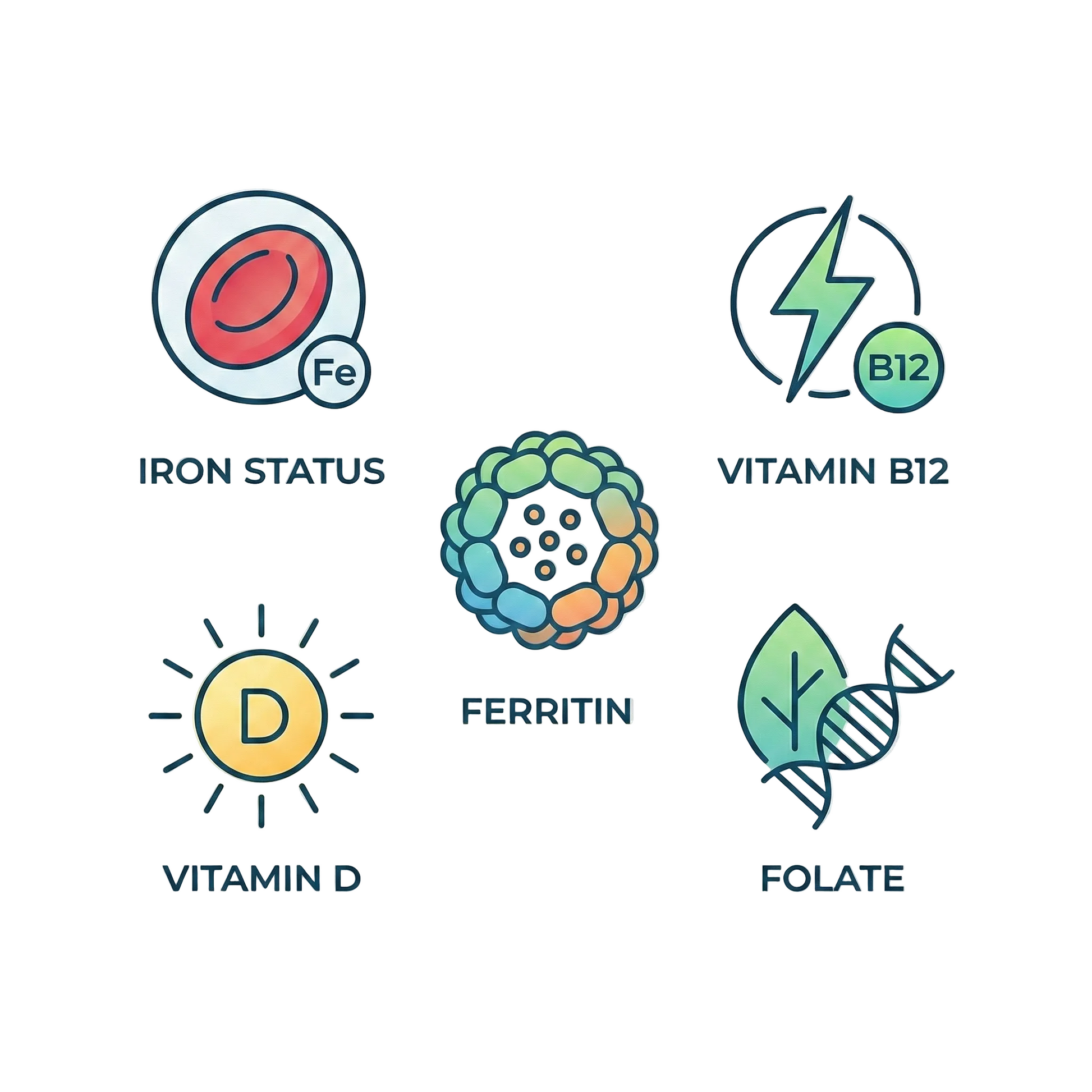 Iron, Vitamins and Ferritin test