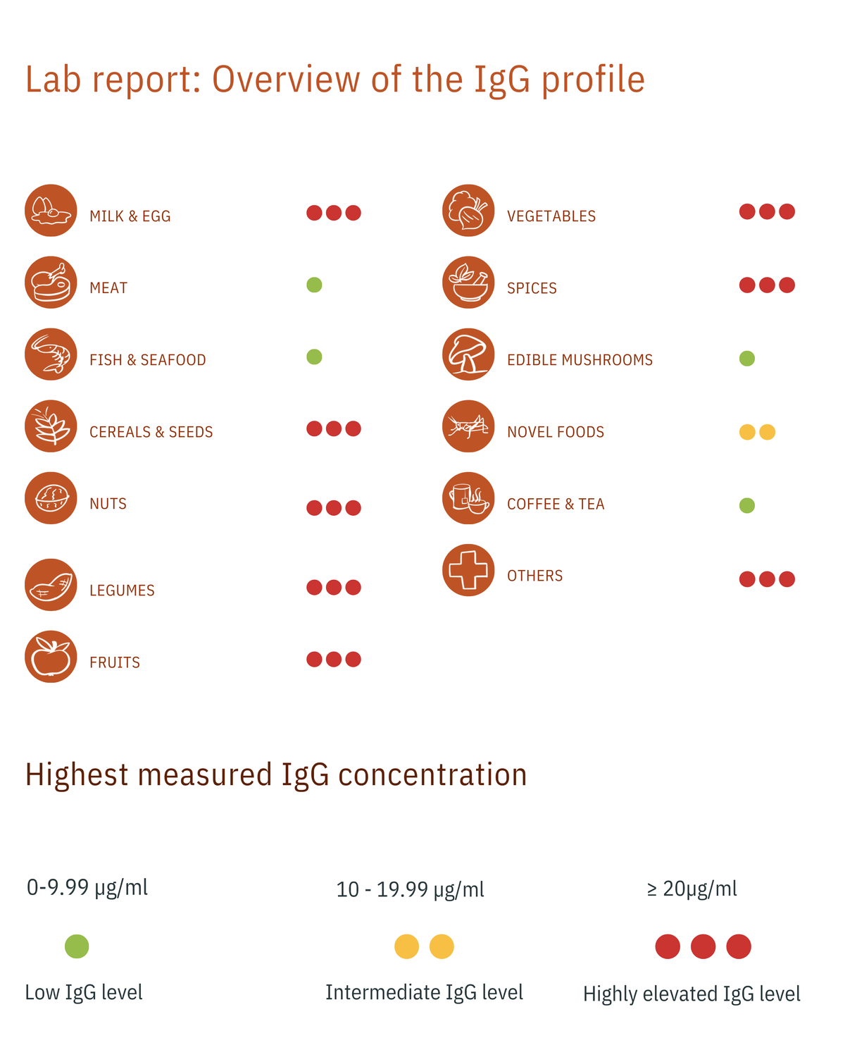 An informational infographic about IgG antibodies, titled 'Lab report: Overview of the IgG profile'. It features a list of food categories with red dots indicating IgG levels (ranging from low to highly elevated) and a section showing the highest measured IgG concentrations in µg/ml.