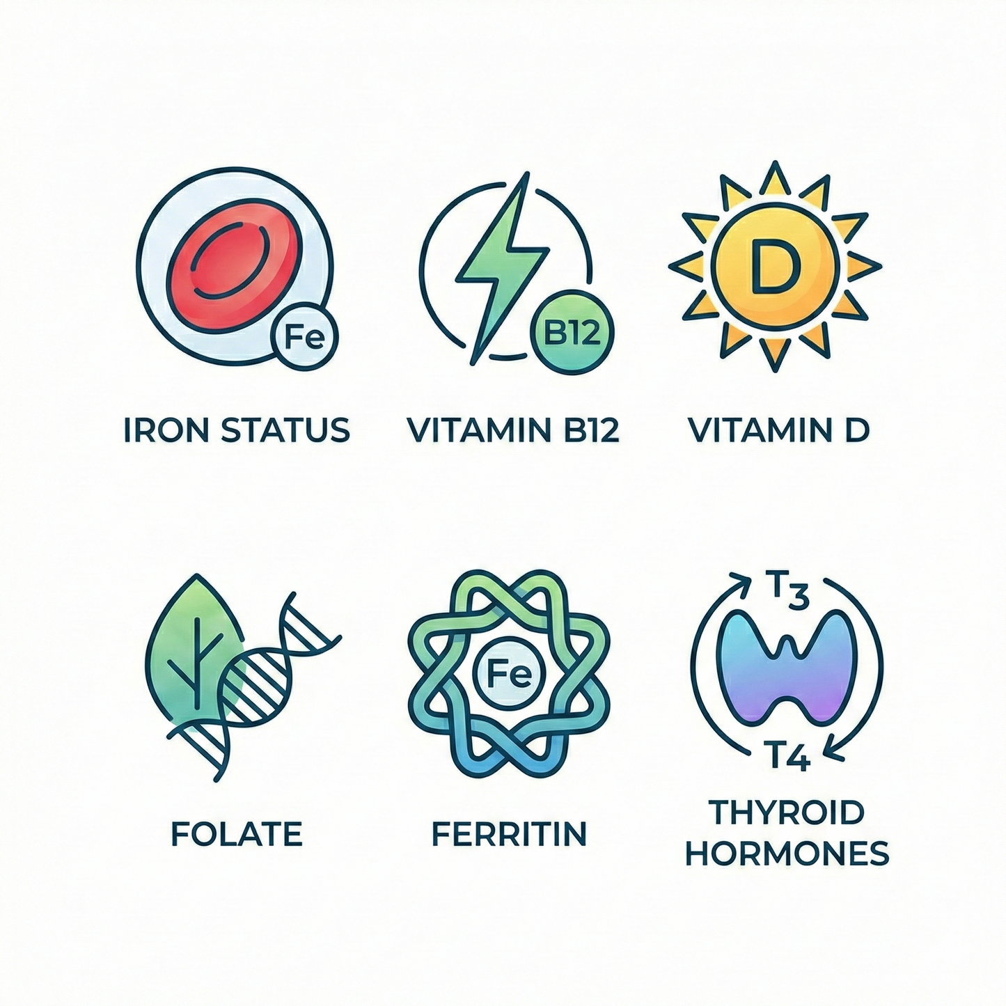 Hair loss panel showing key nutrients and hormone markers
