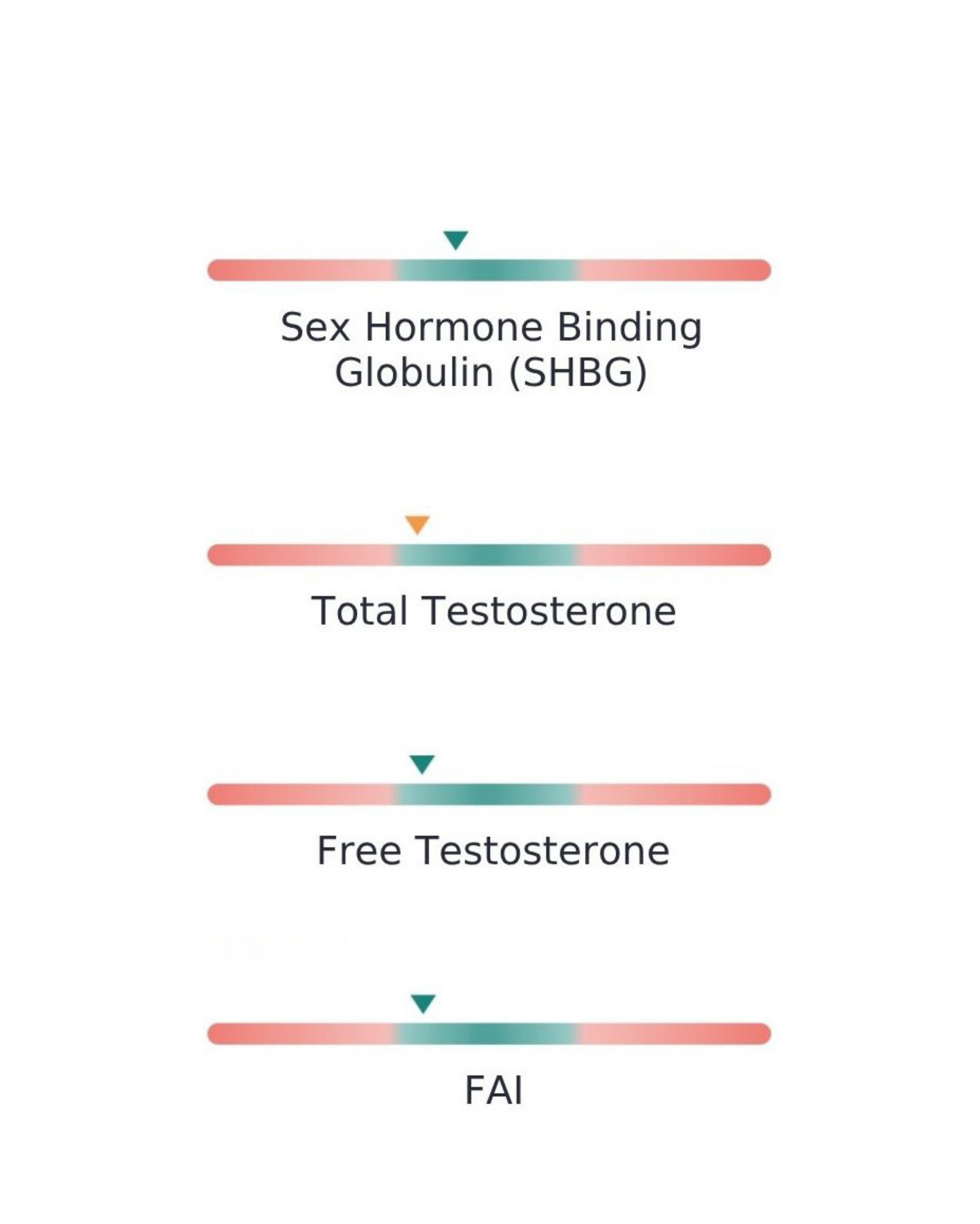 IMAGE SHOWING LIST OF MALE HORMONE BIOMARKERS 